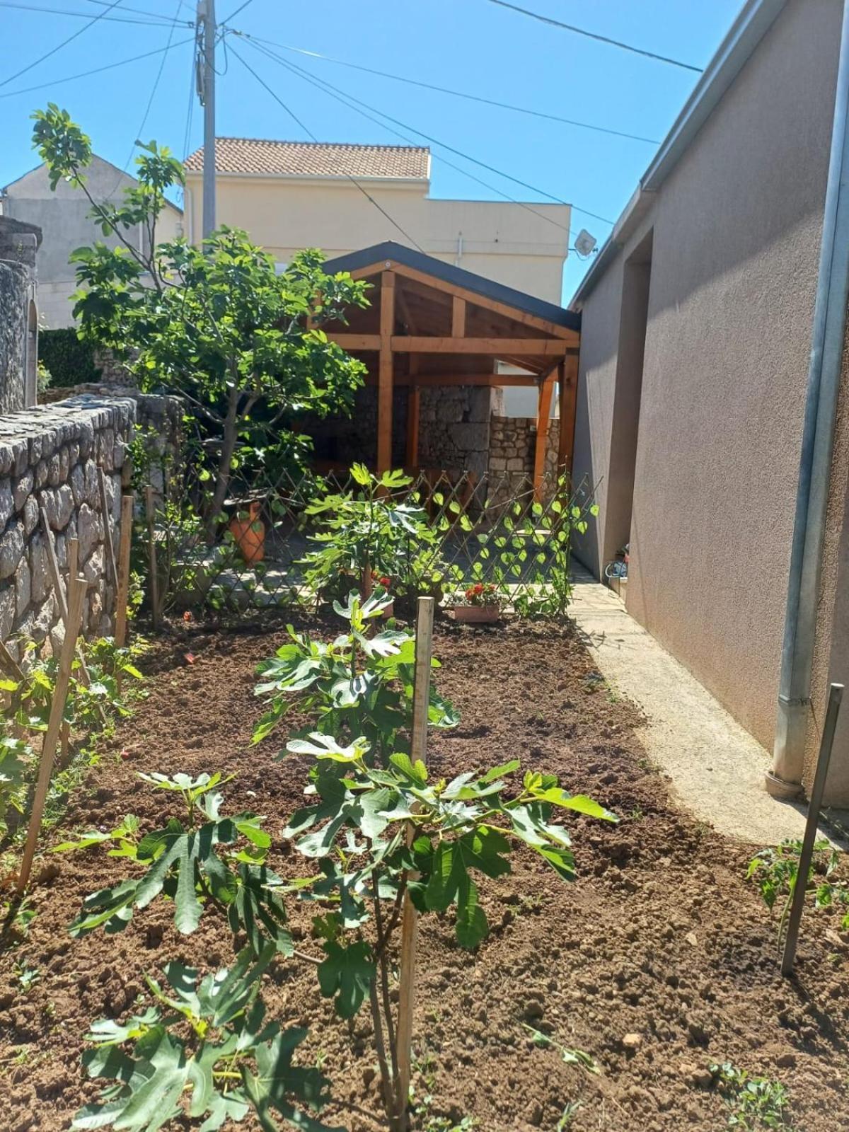 Apartment Afrodita Crikvenica