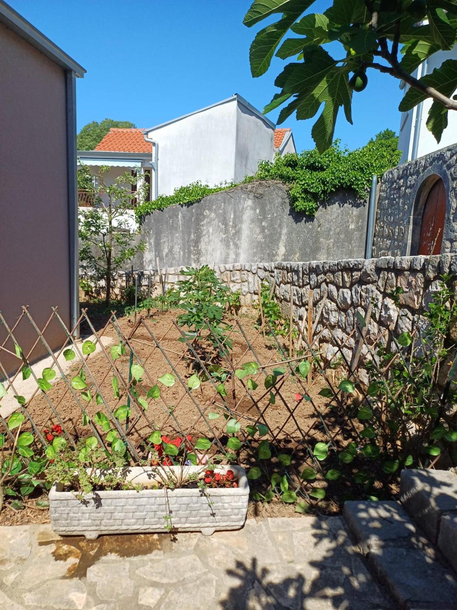 Afrodita Apartment Crikvenica